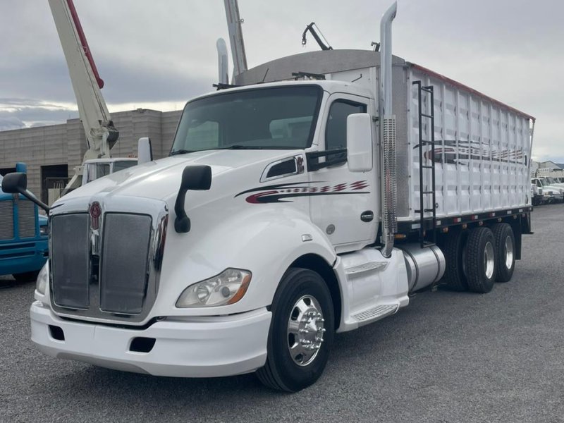 Camion con caja Granelera